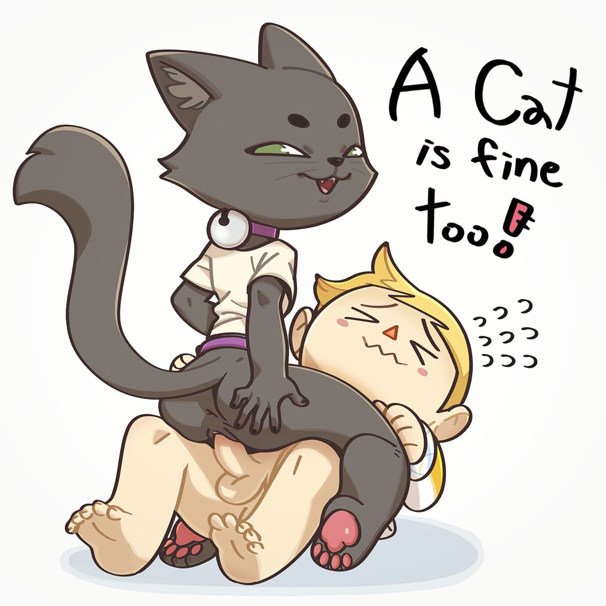 A CAT is Fine Too