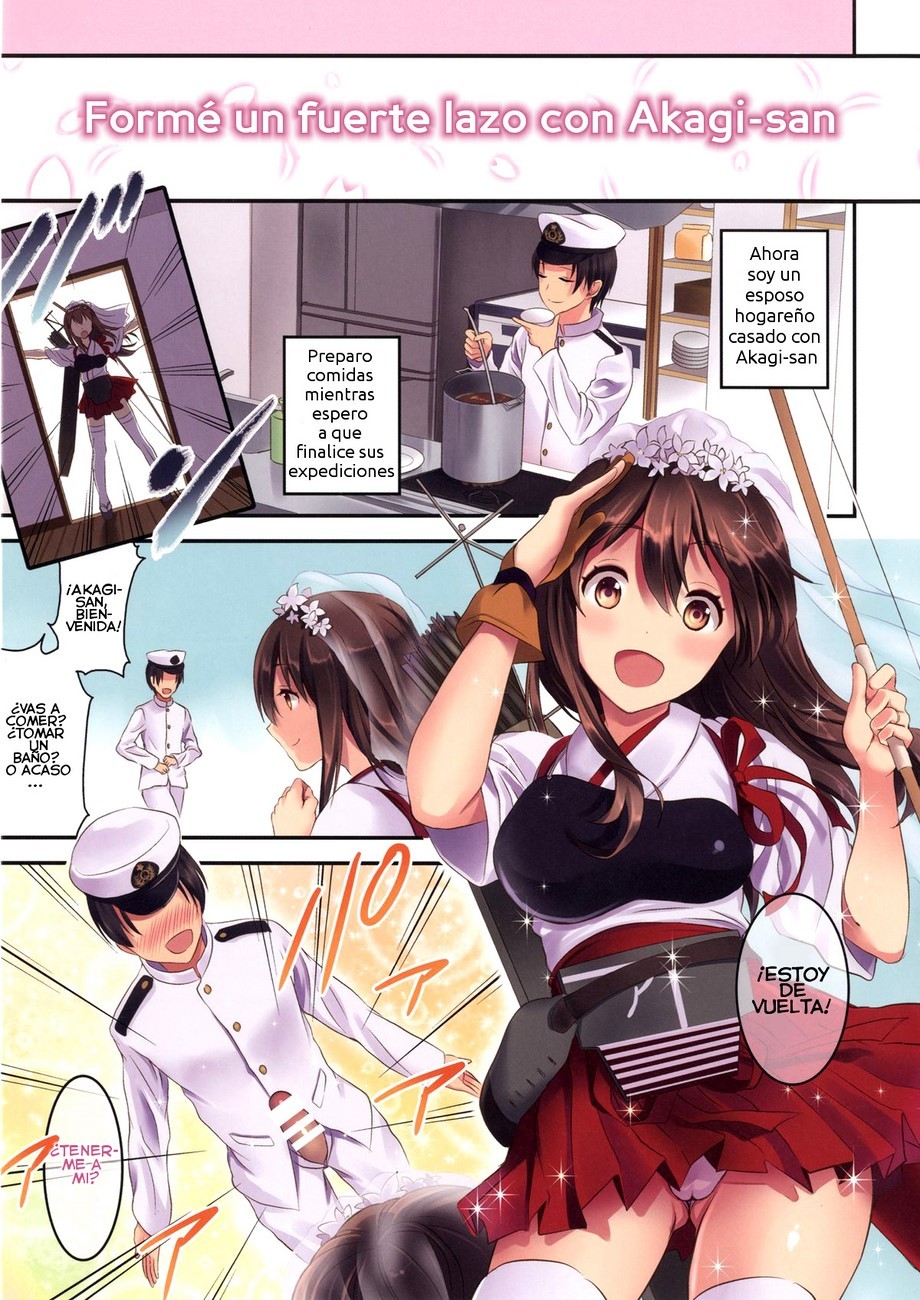 AKAGI SAN to Kekkon Seikatsu