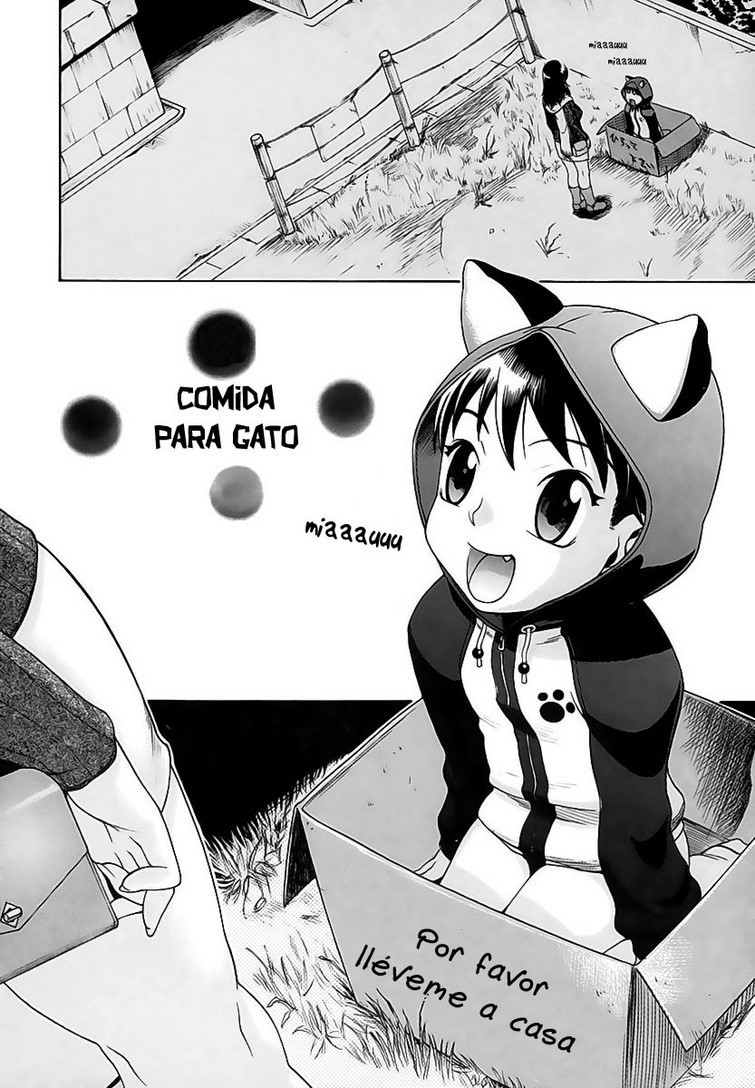 COMIDA para Gato