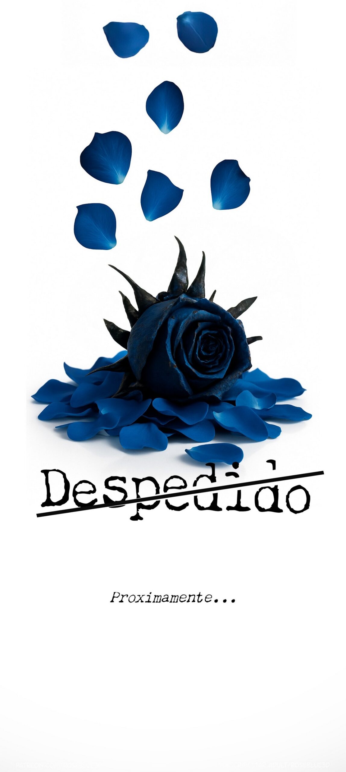 DESPEDIDO