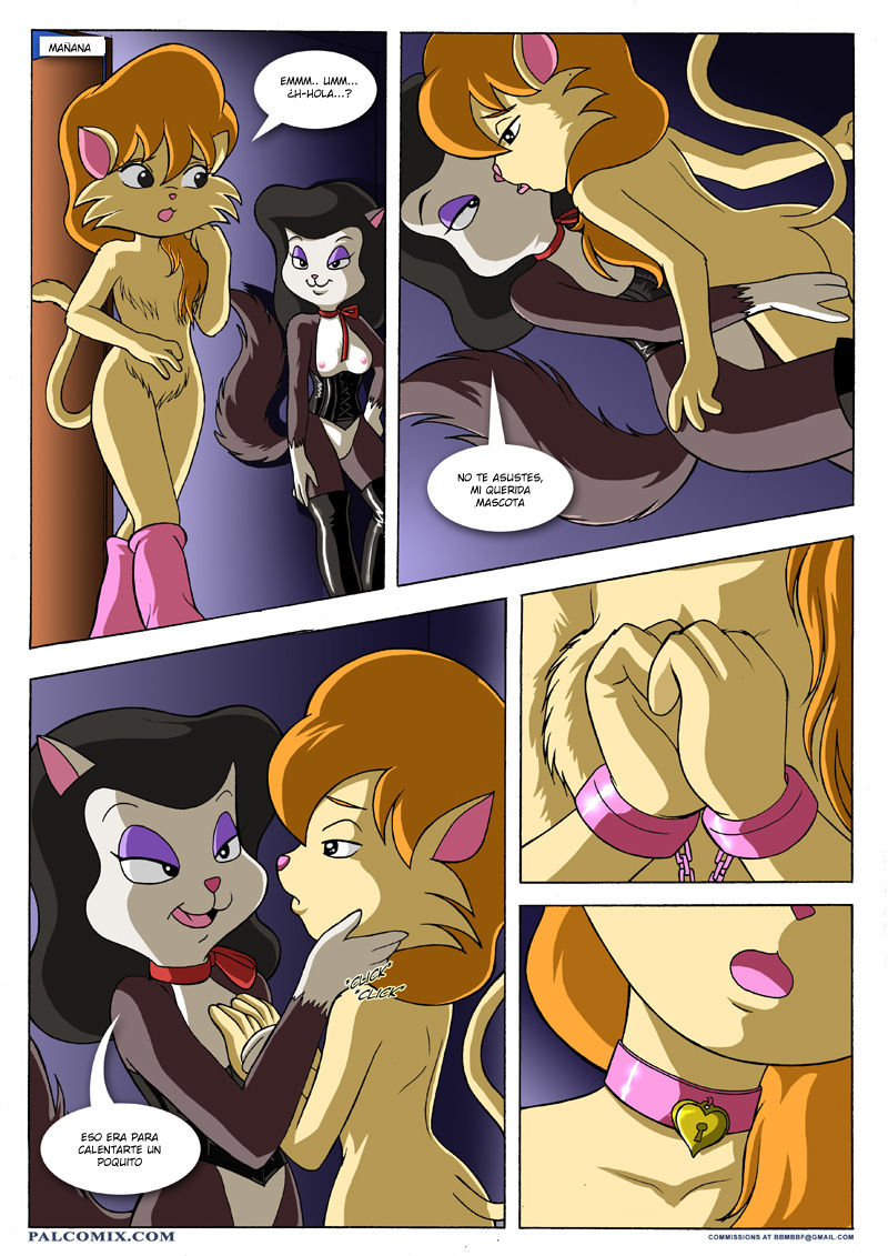 DOMADORA de Gatos