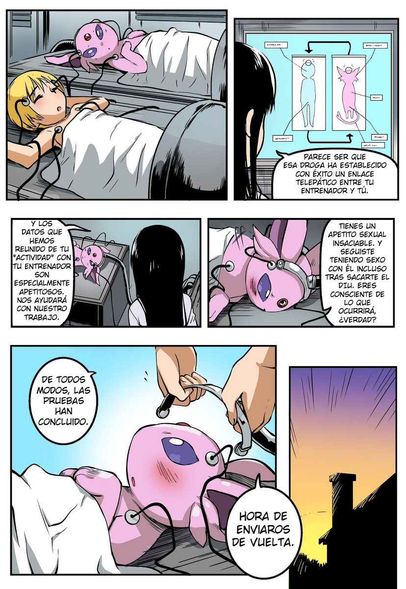 El EXPERIMENTO