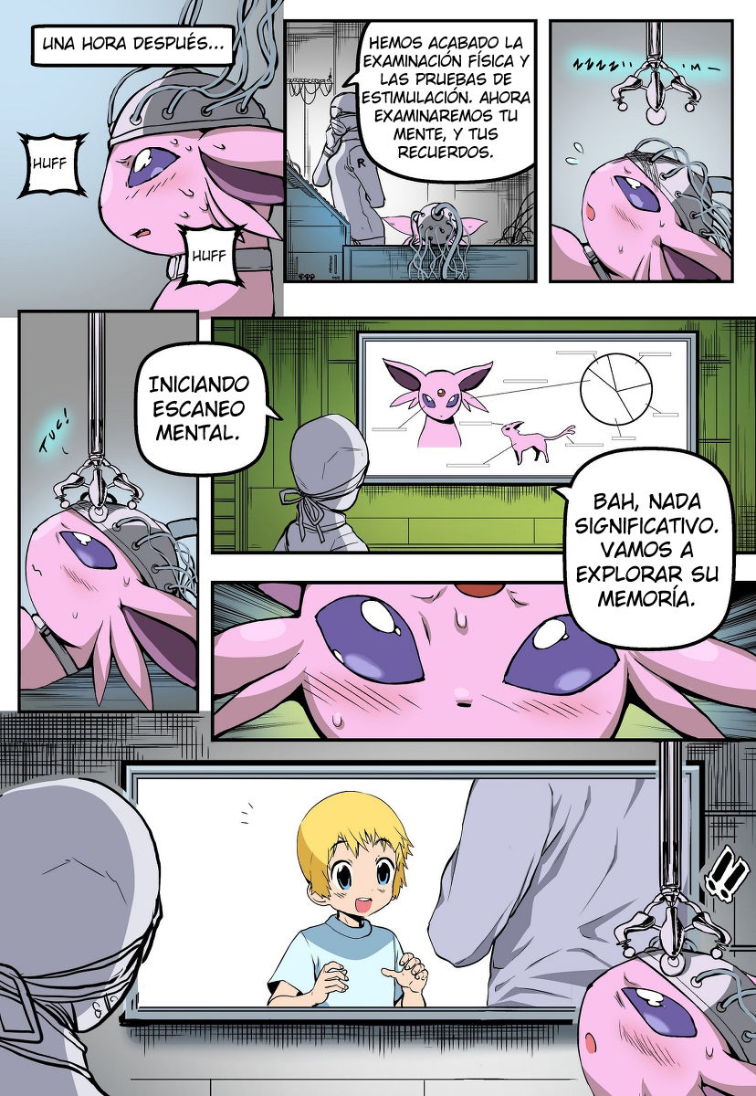 El EXPERIMENTO