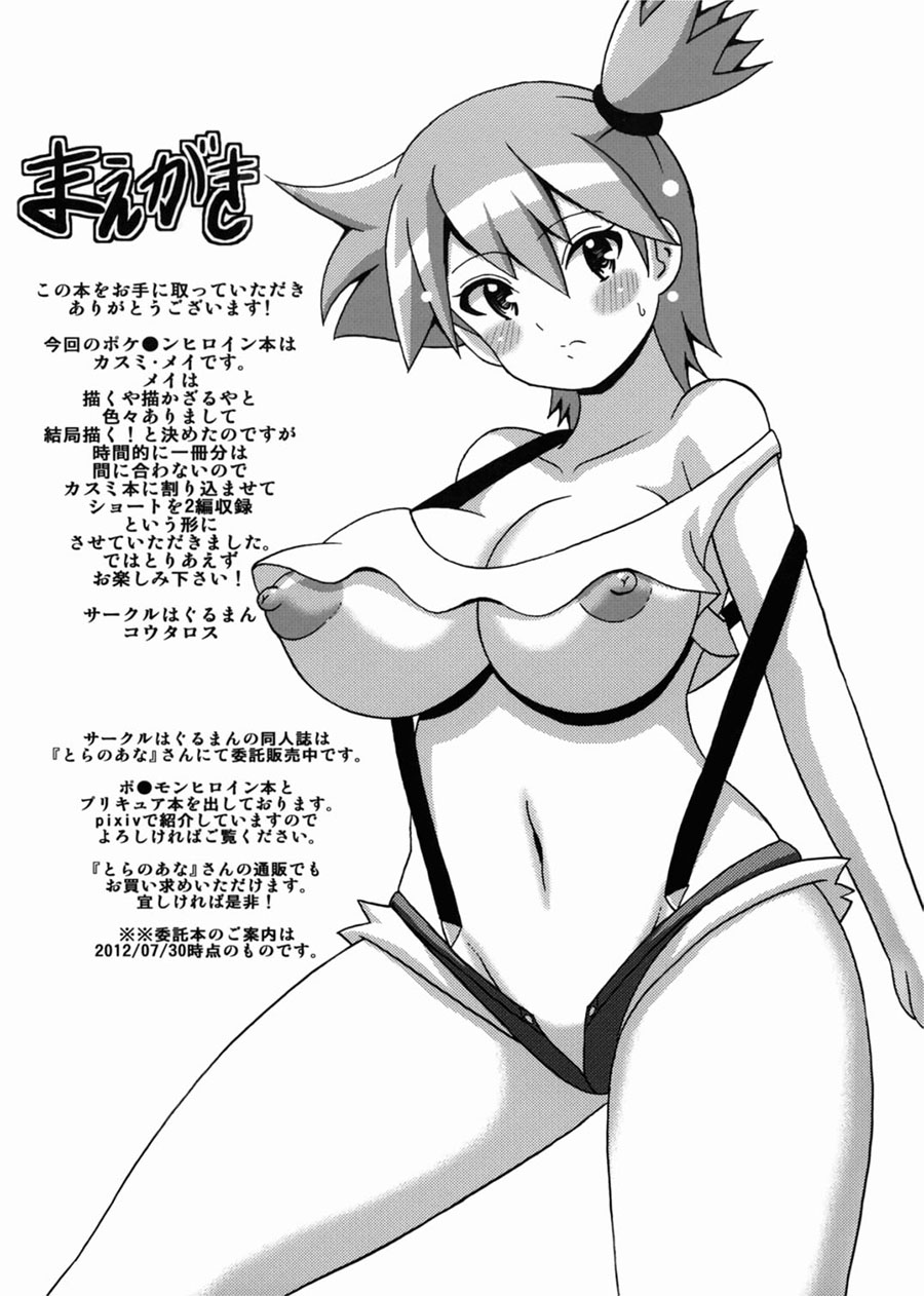 El Libro de MISTY y MEI