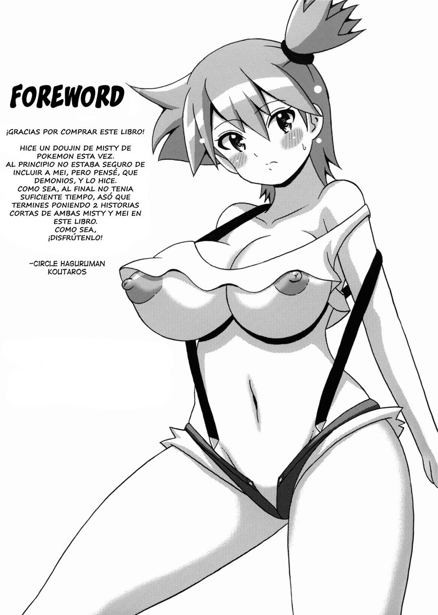 El Libro de MISTY y MEI