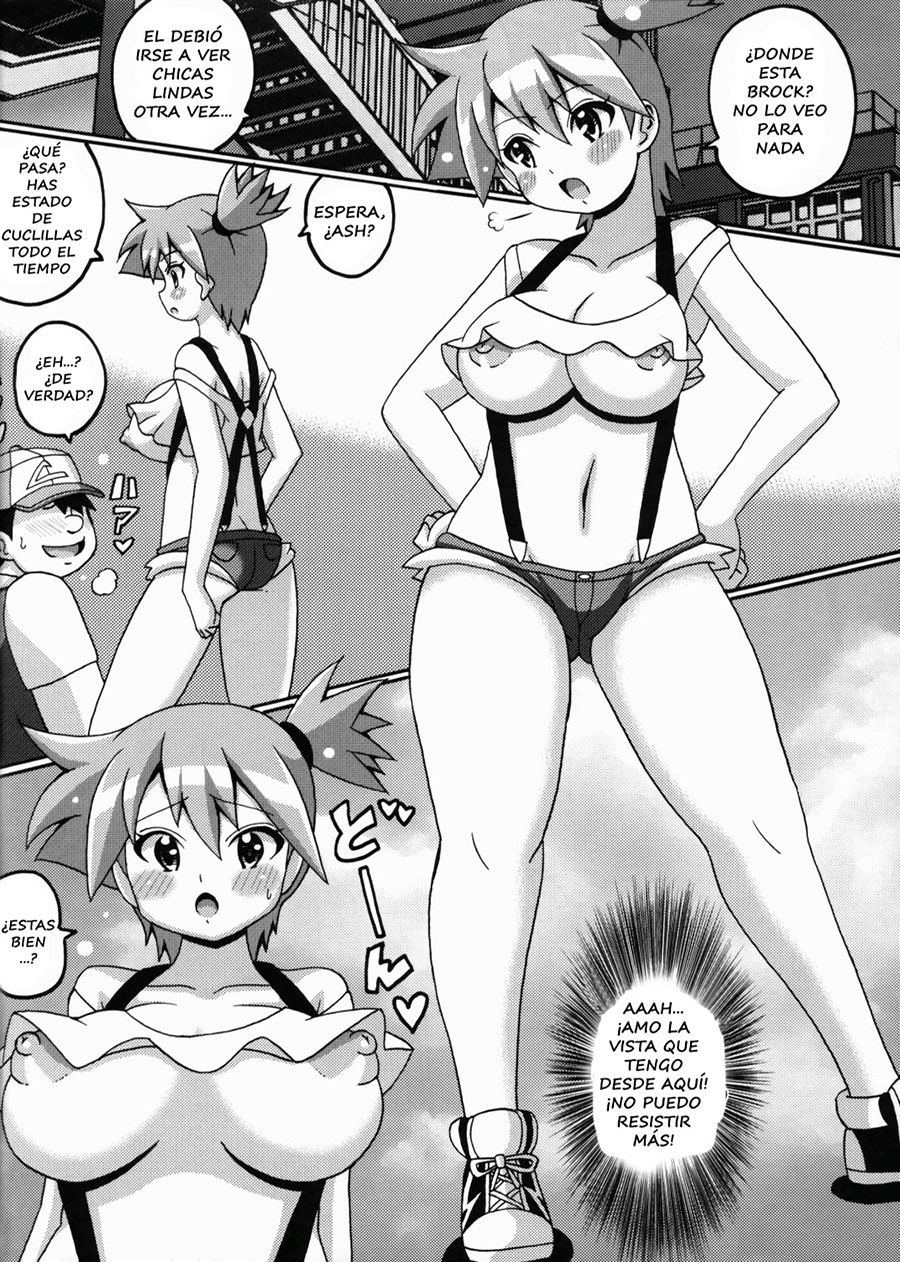 El Libro de MISTY y MEI