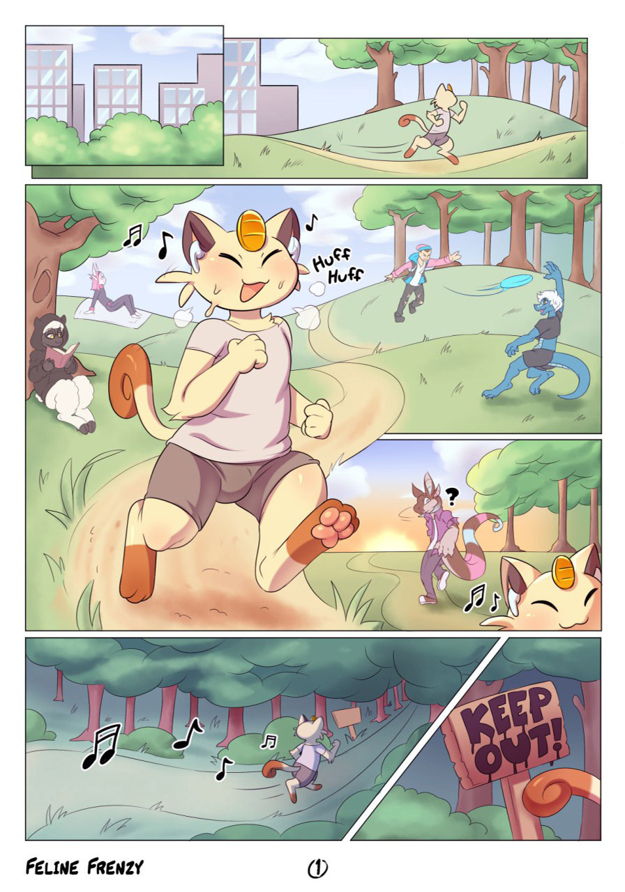FELINE Frenzy