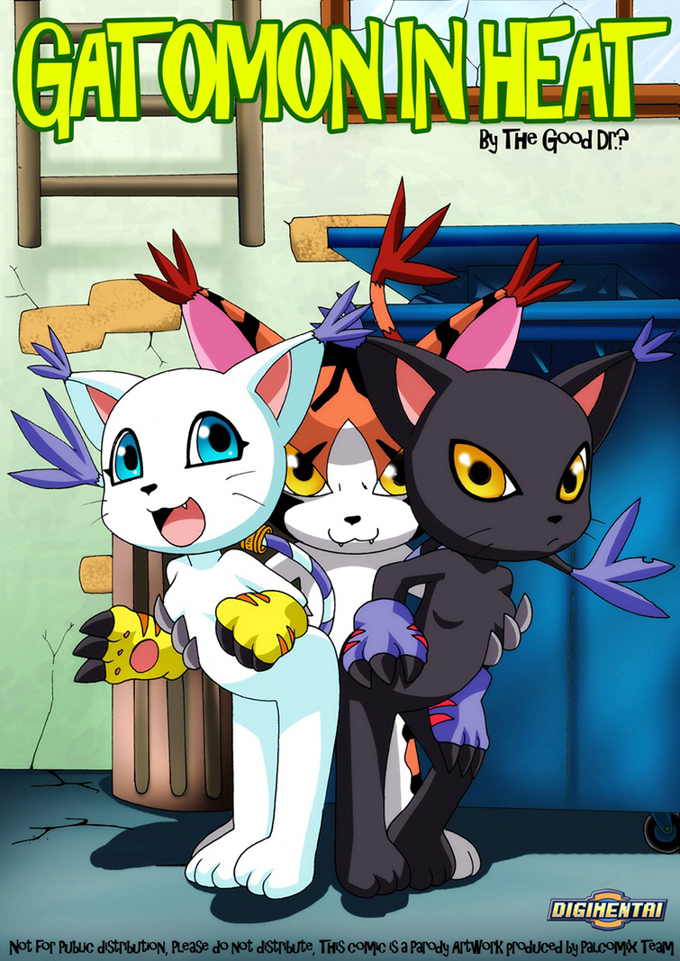 GATOMON en Celo parte 1
