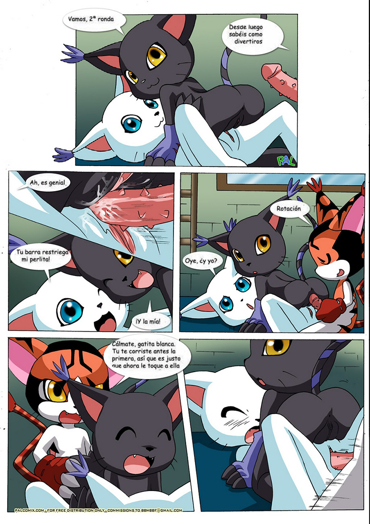 GATOMON en Celo parte 1