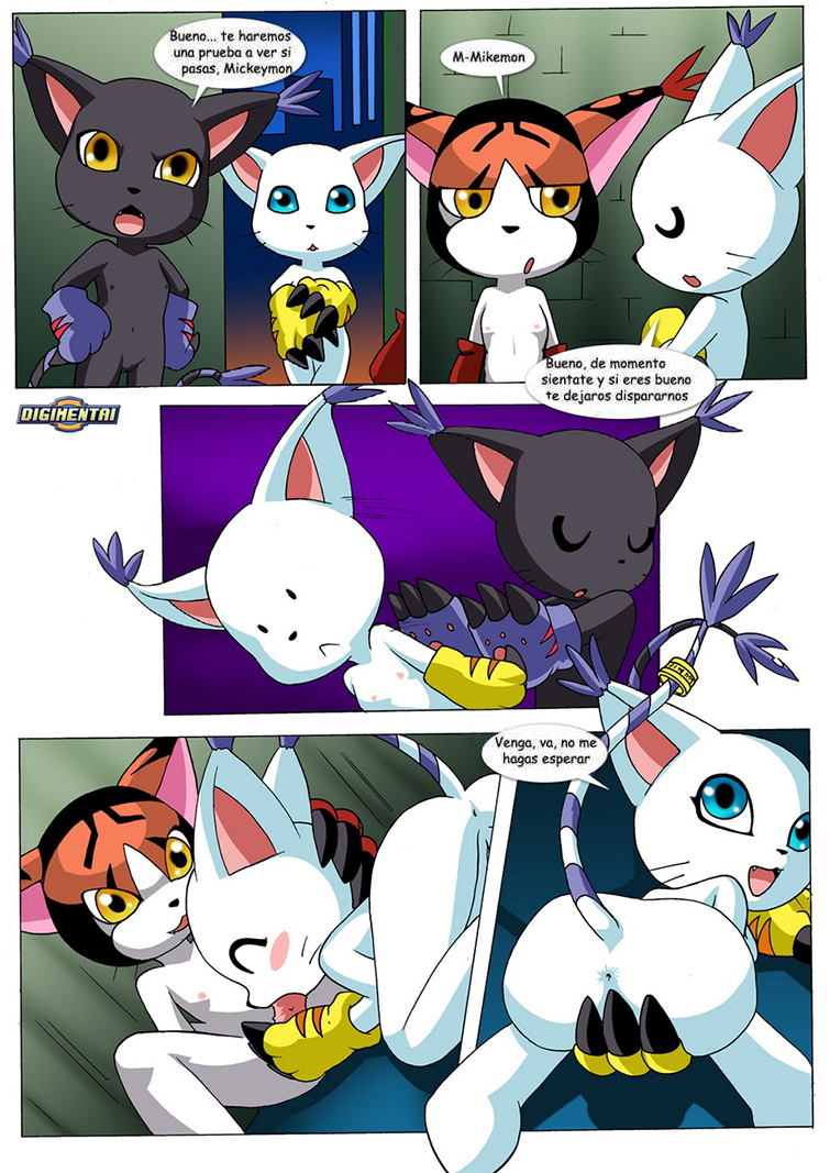 GATOMON en Celo parte 1