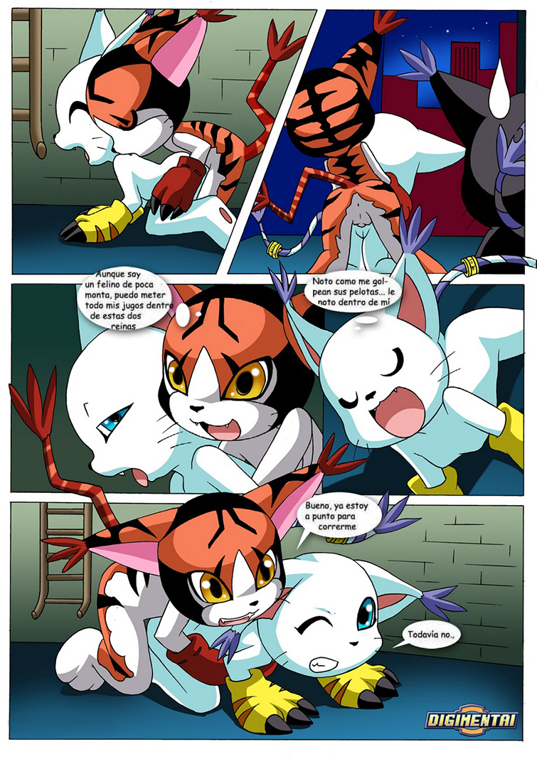 GATOMON en Celo parte 1