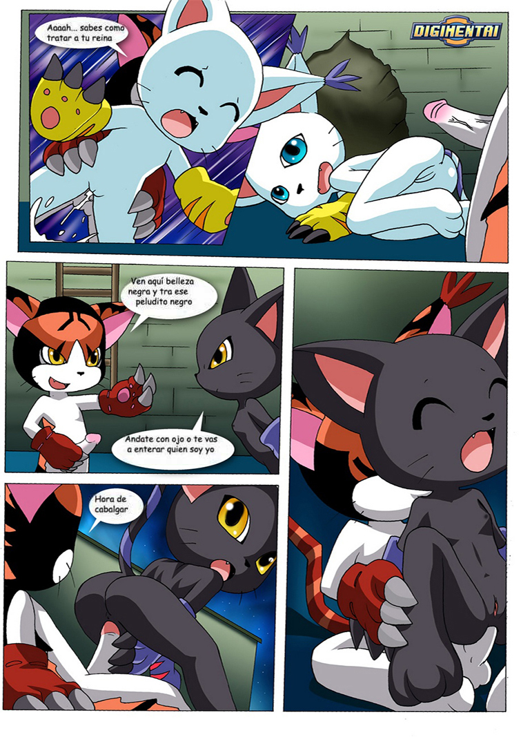 GATOMON en Celo parte 1