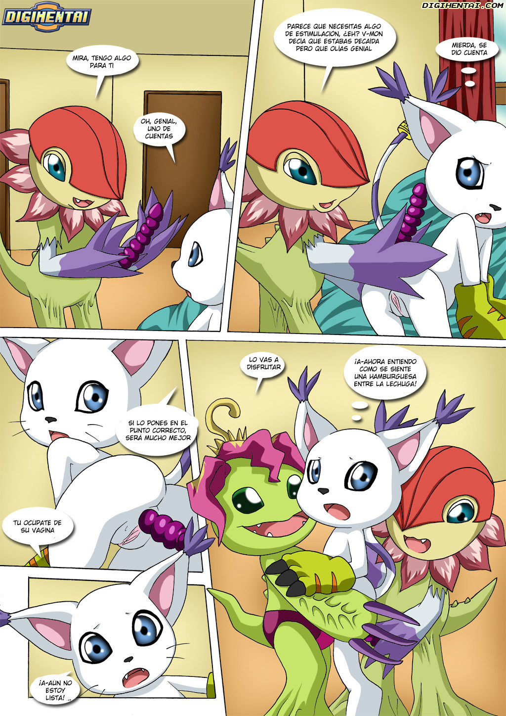 GATOMON en Celo parte 2