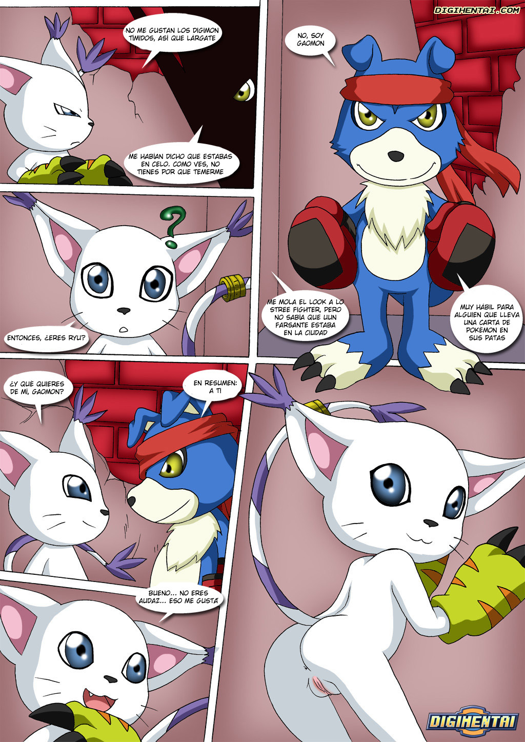 GATOMON en Celo parte 2