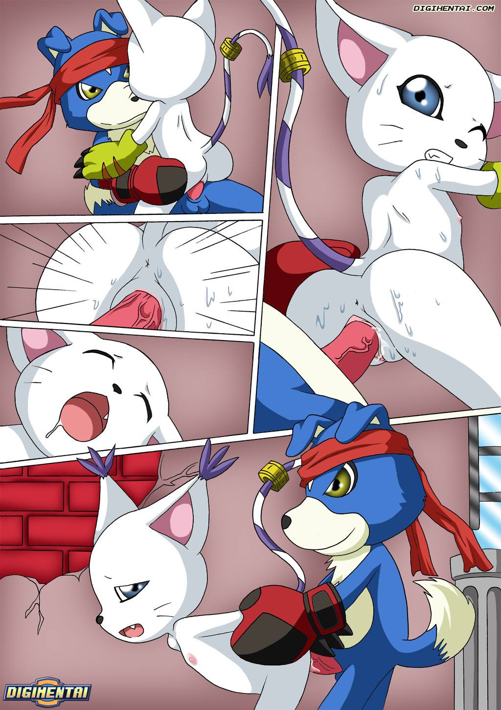 GATOMON en Celo parte 2