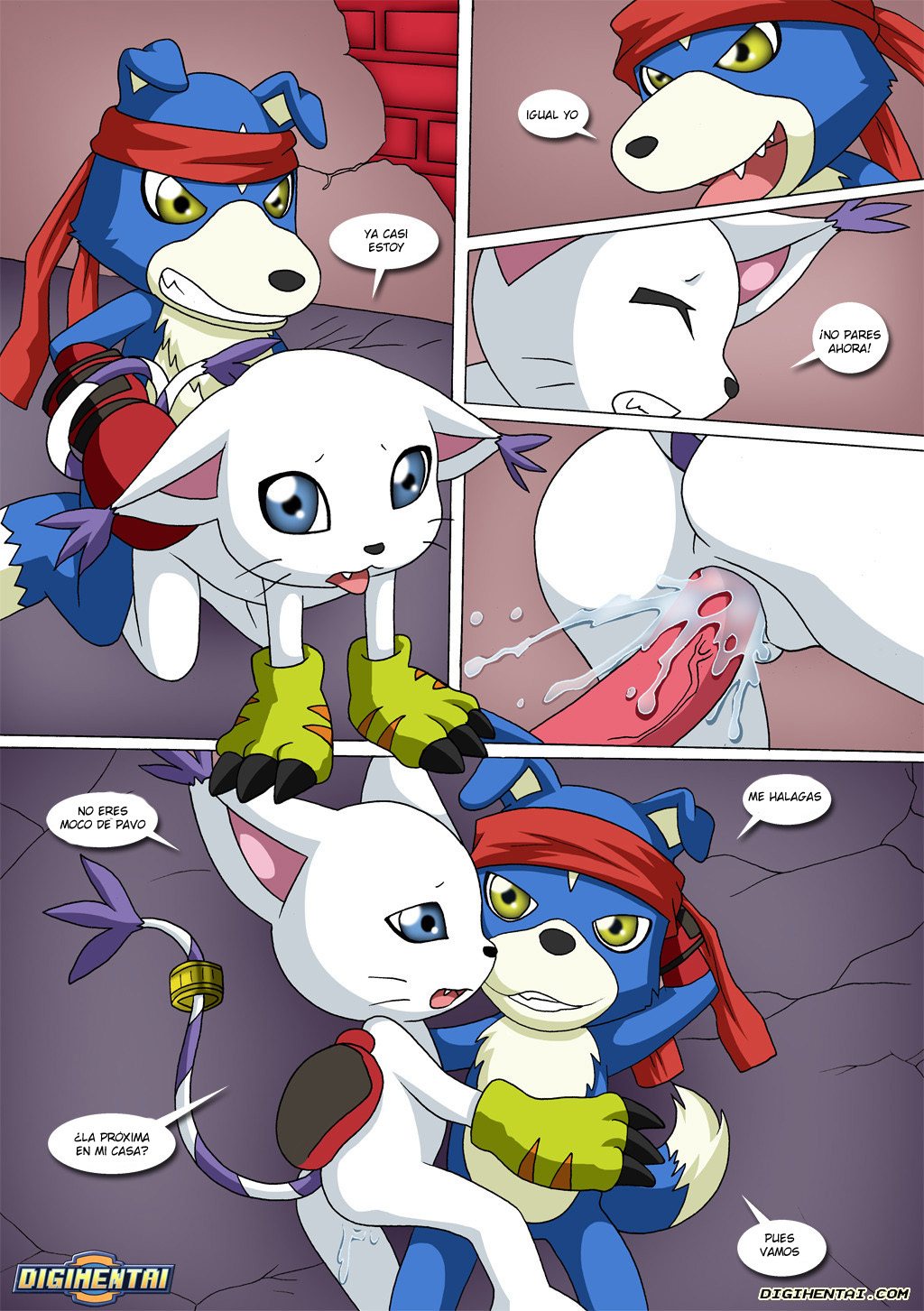 GATOMON en Celo parte 2