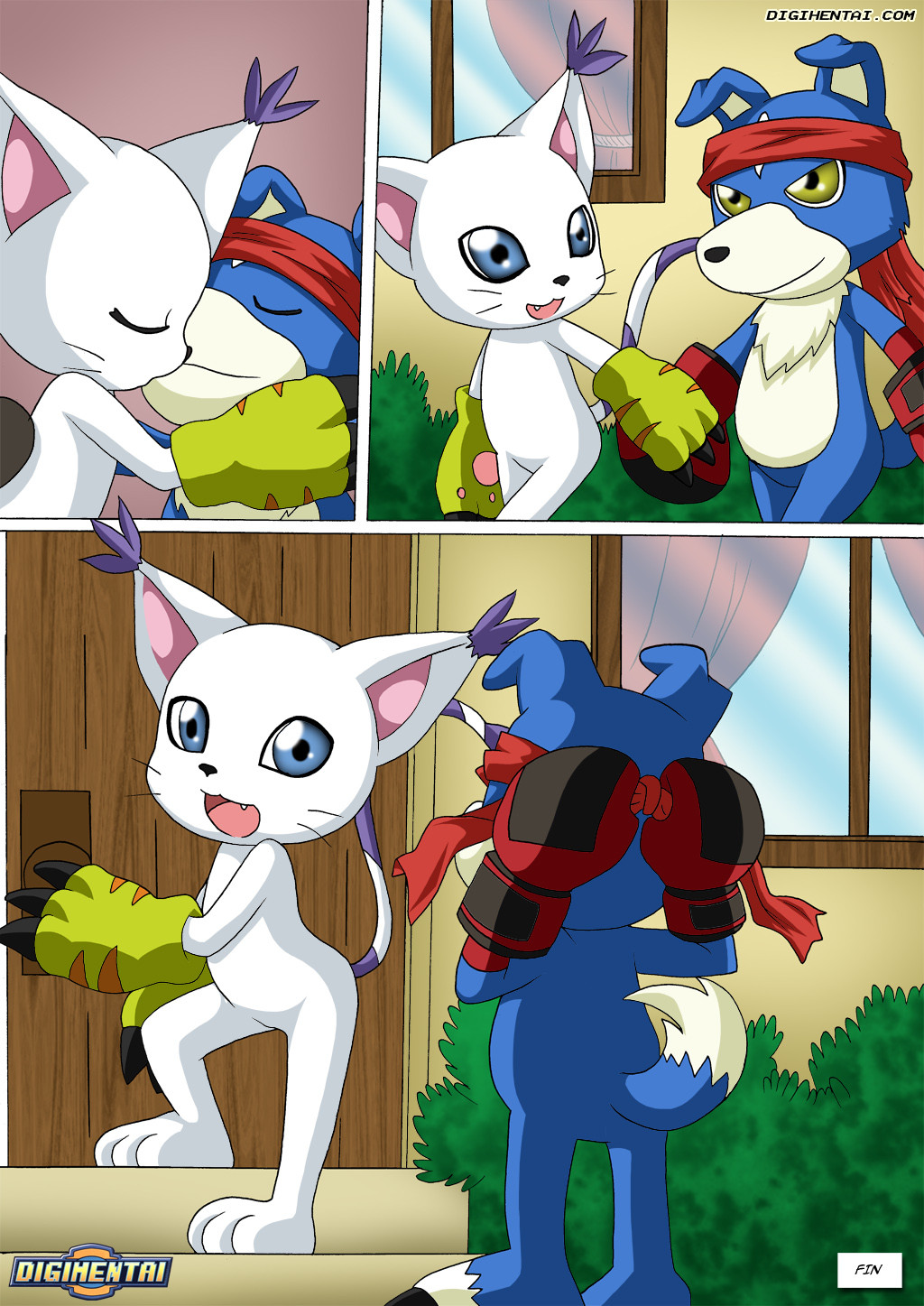 GATOMON en Celo parte 2