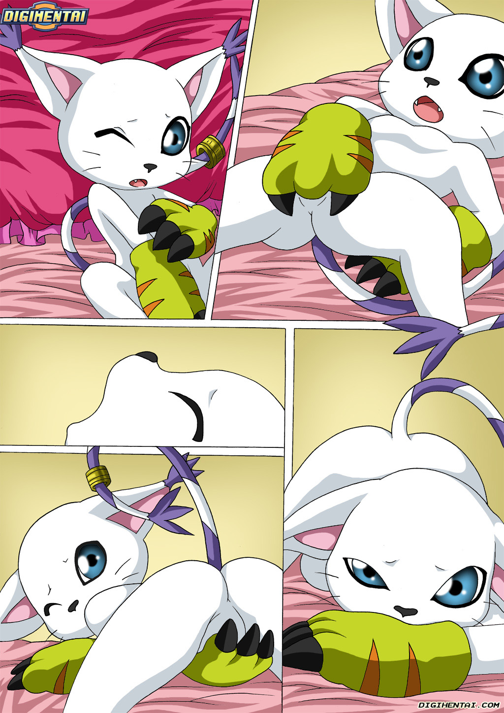 GATOMON en Celo parte 2