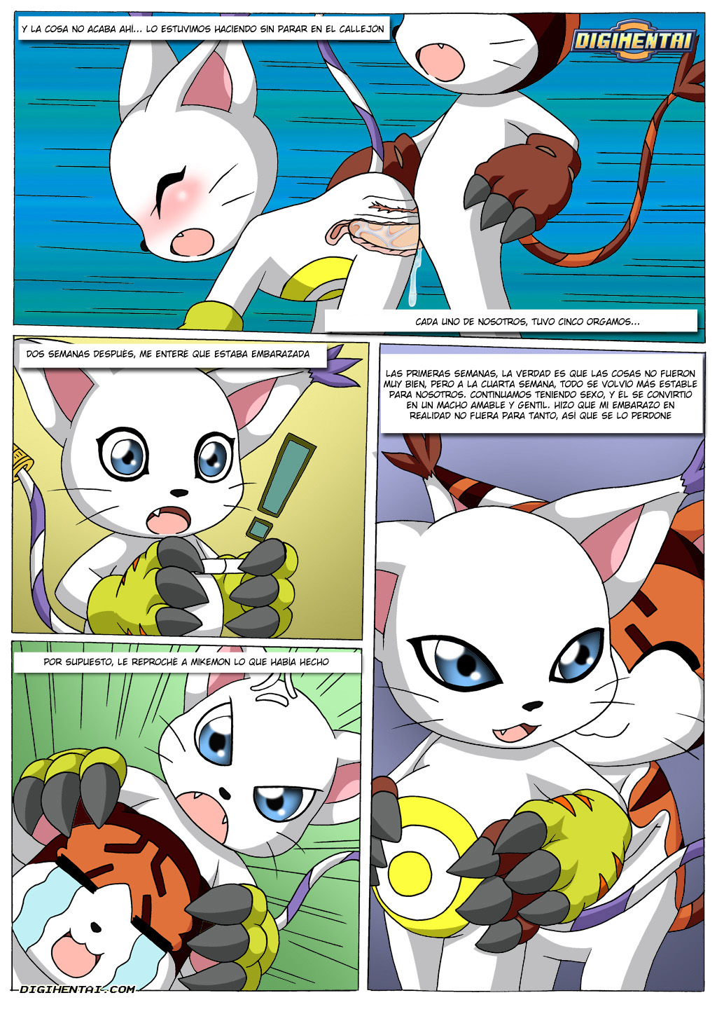 GATOMON en Celo parte 3