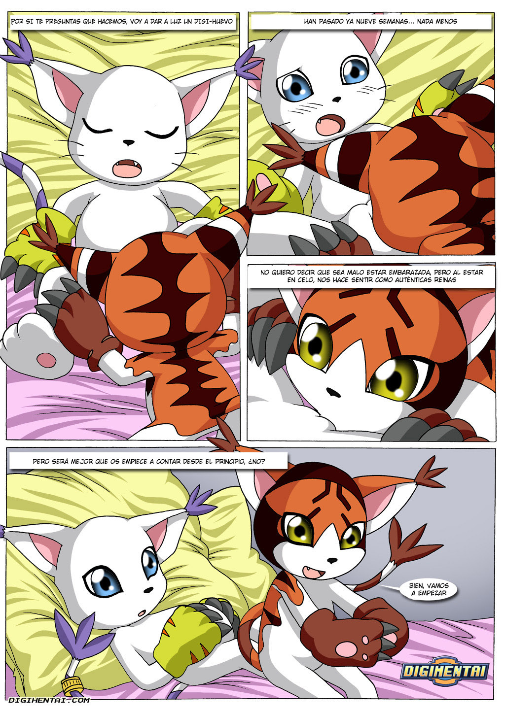 GATOMON en Celo parte 3
