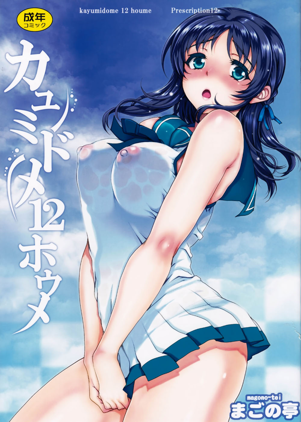 KAYUMIDOME 12 Houme