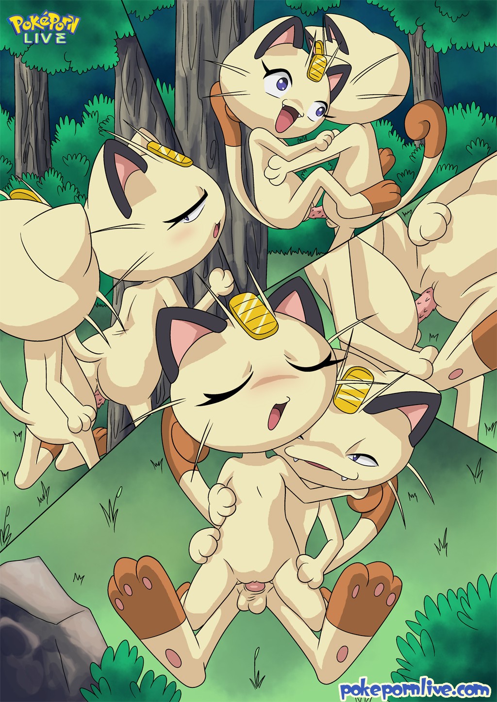 Las GATITAS de NYARTH