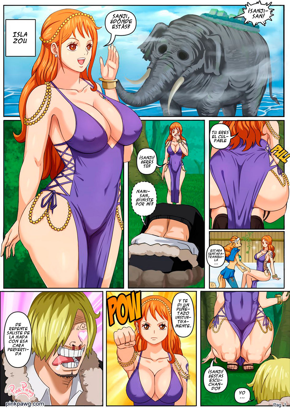 NAMI in Zou Island