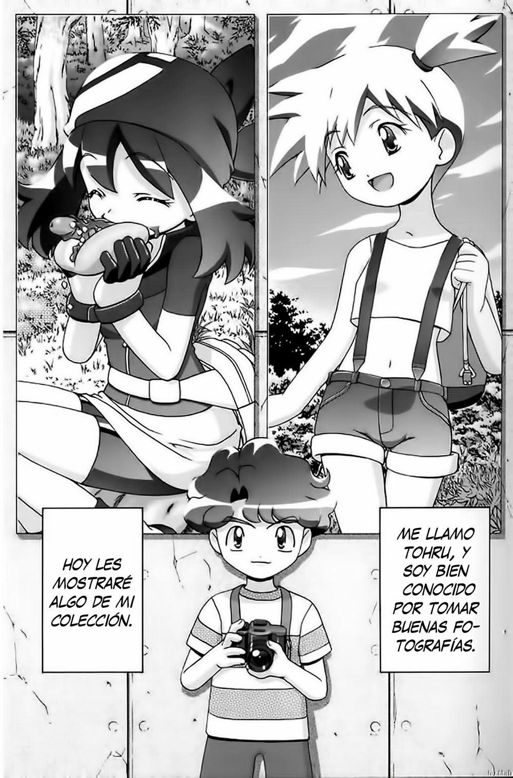 PM Gals! POKEMON