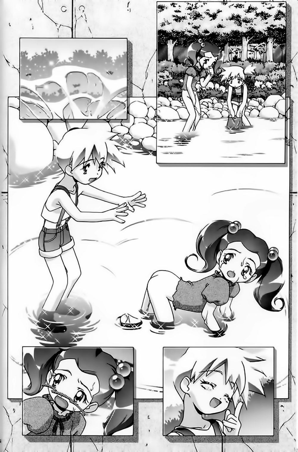 PM Gals! POKEMON