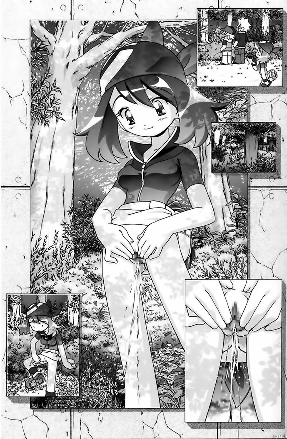 PM Gals! POKEMON