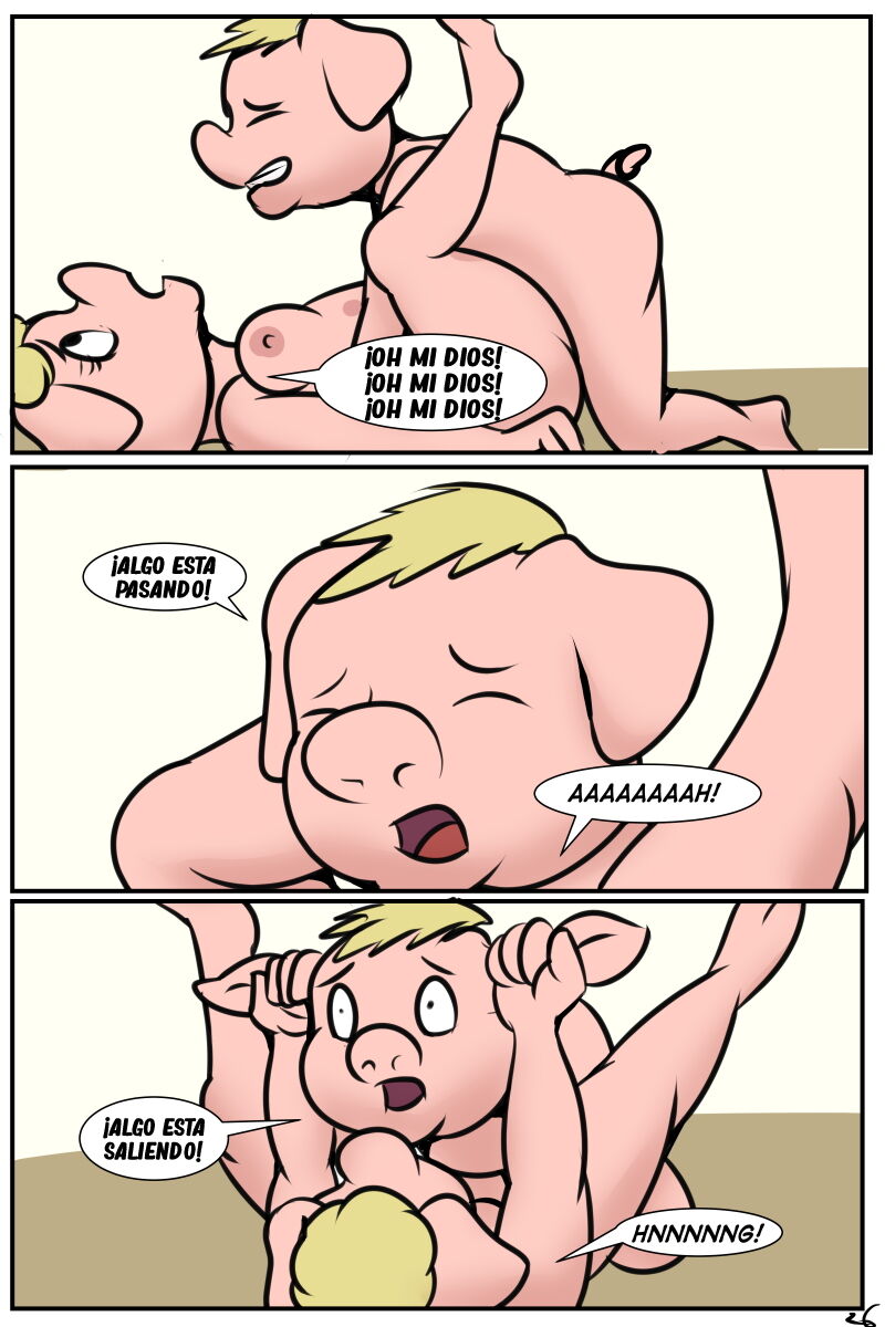 PORK BUTT