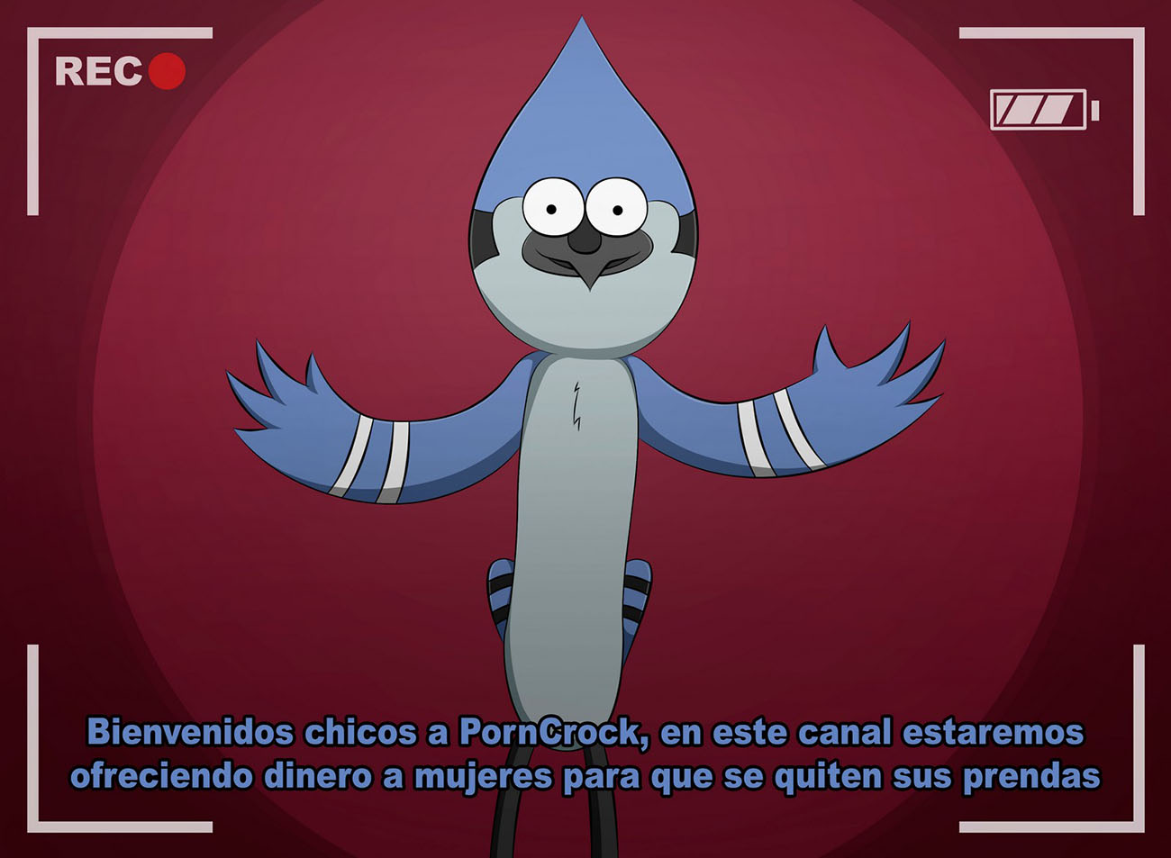 PORNCROCK