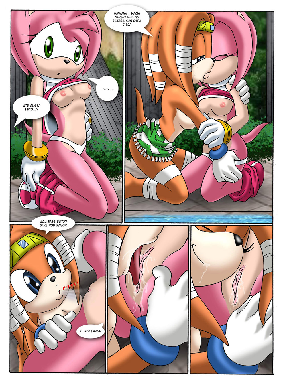 Proyecto SONIC parte 2