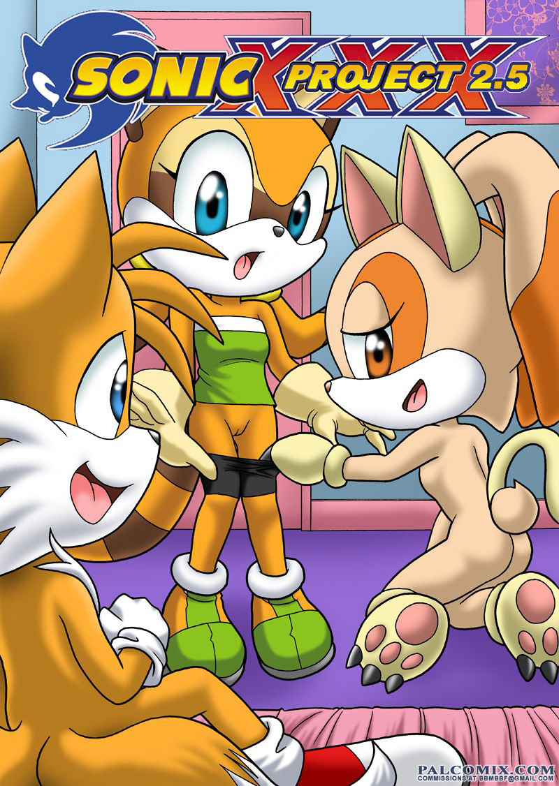 Proyecto SONIC parte 2.5