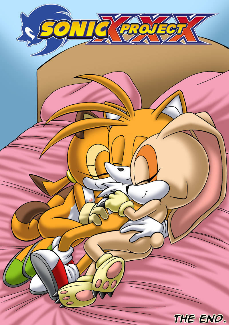 Proyecto SONIC parte 2.5