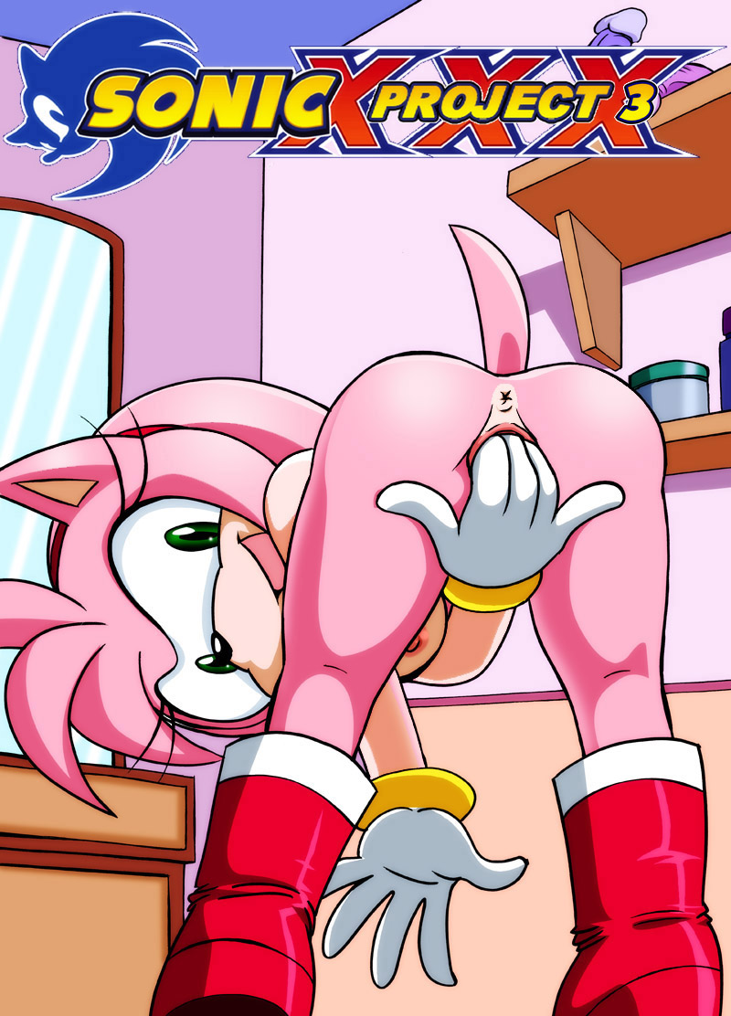 Proyecto SONIC parte 3