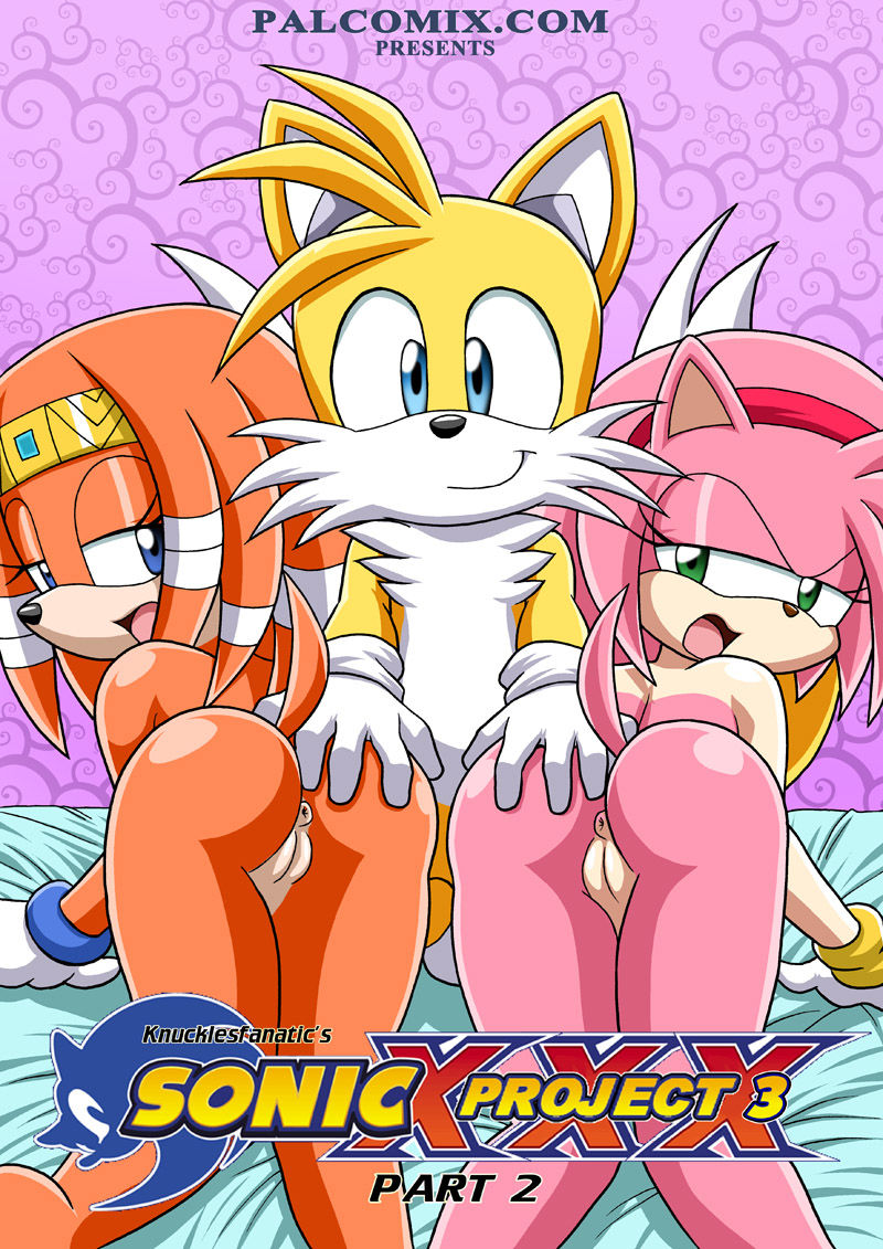Proyecto SONIC parte 3
