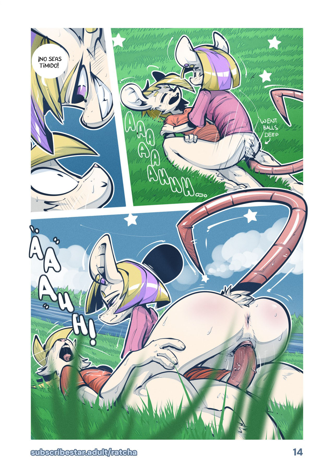 The DAM parte 2