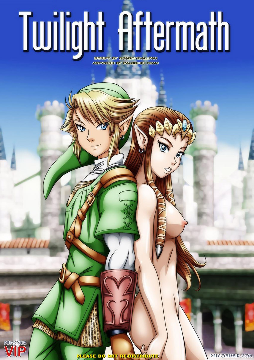The LEGEND of ZELDA -Twilight Aftermath