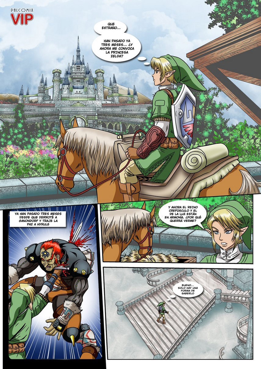 The LEGEND of ZELDA -Twilight Aftermath