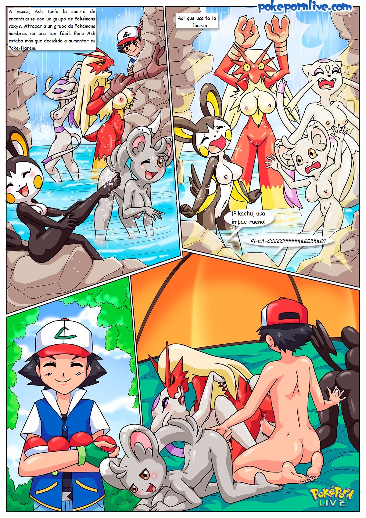 The POKEMON Master