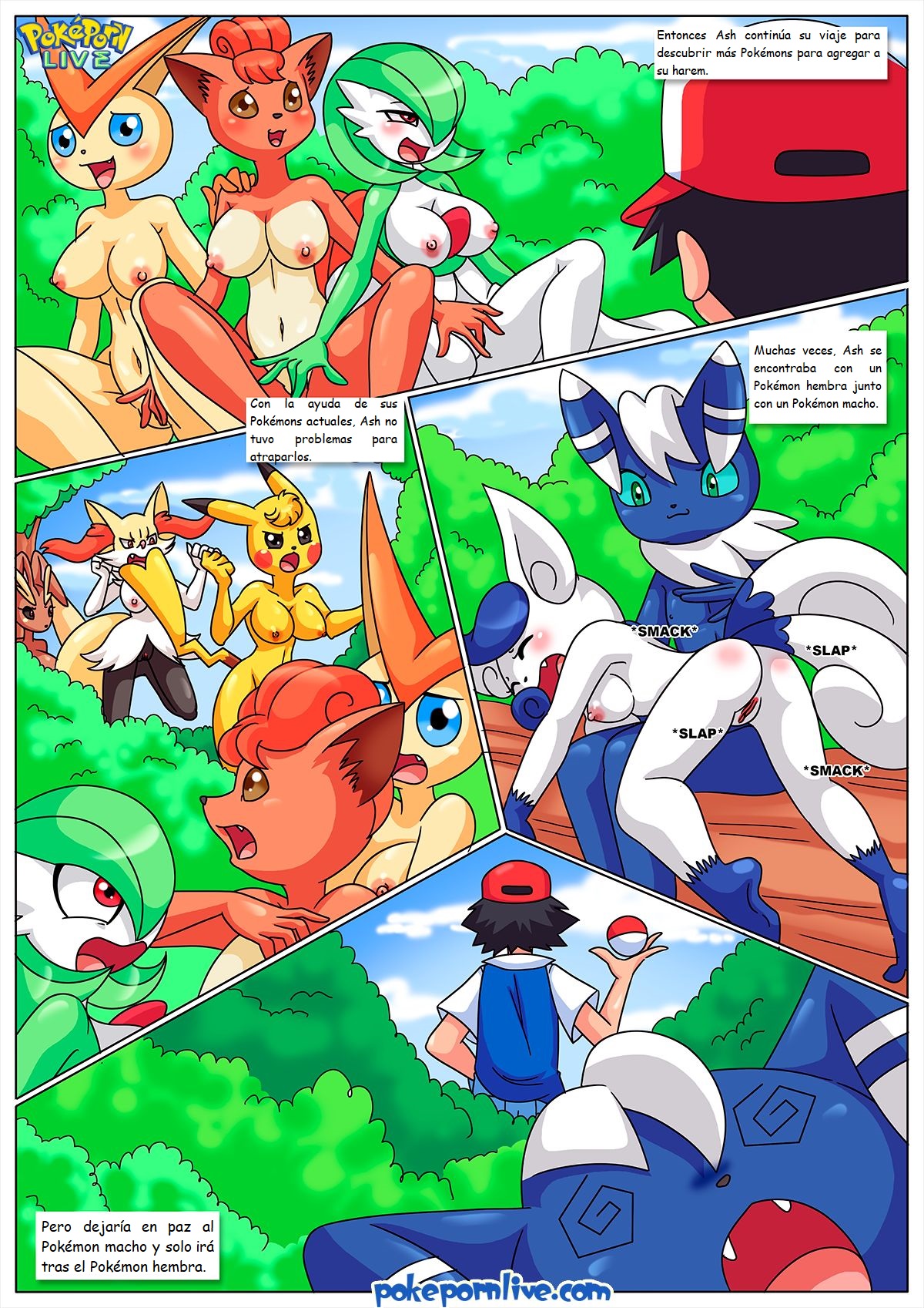 The POKEMON Master