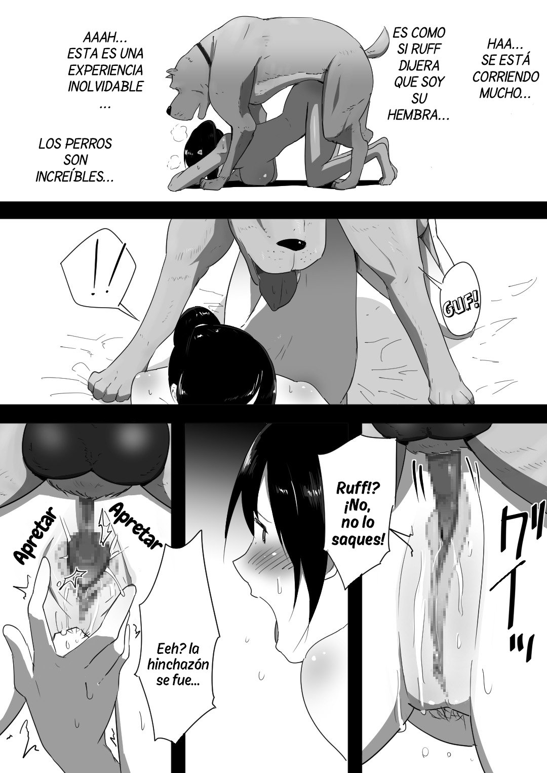 Un PERRO llego a nuestra CASA parte 1