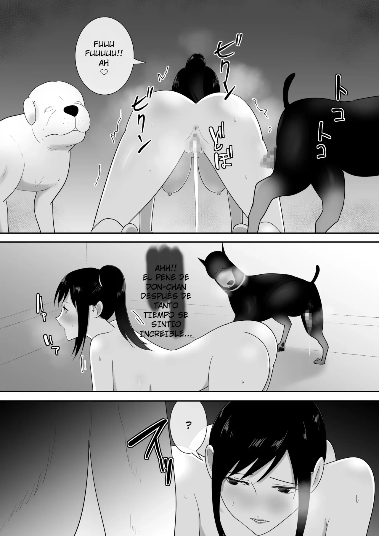 Un PERRO llego a nuestra CASA parte 4