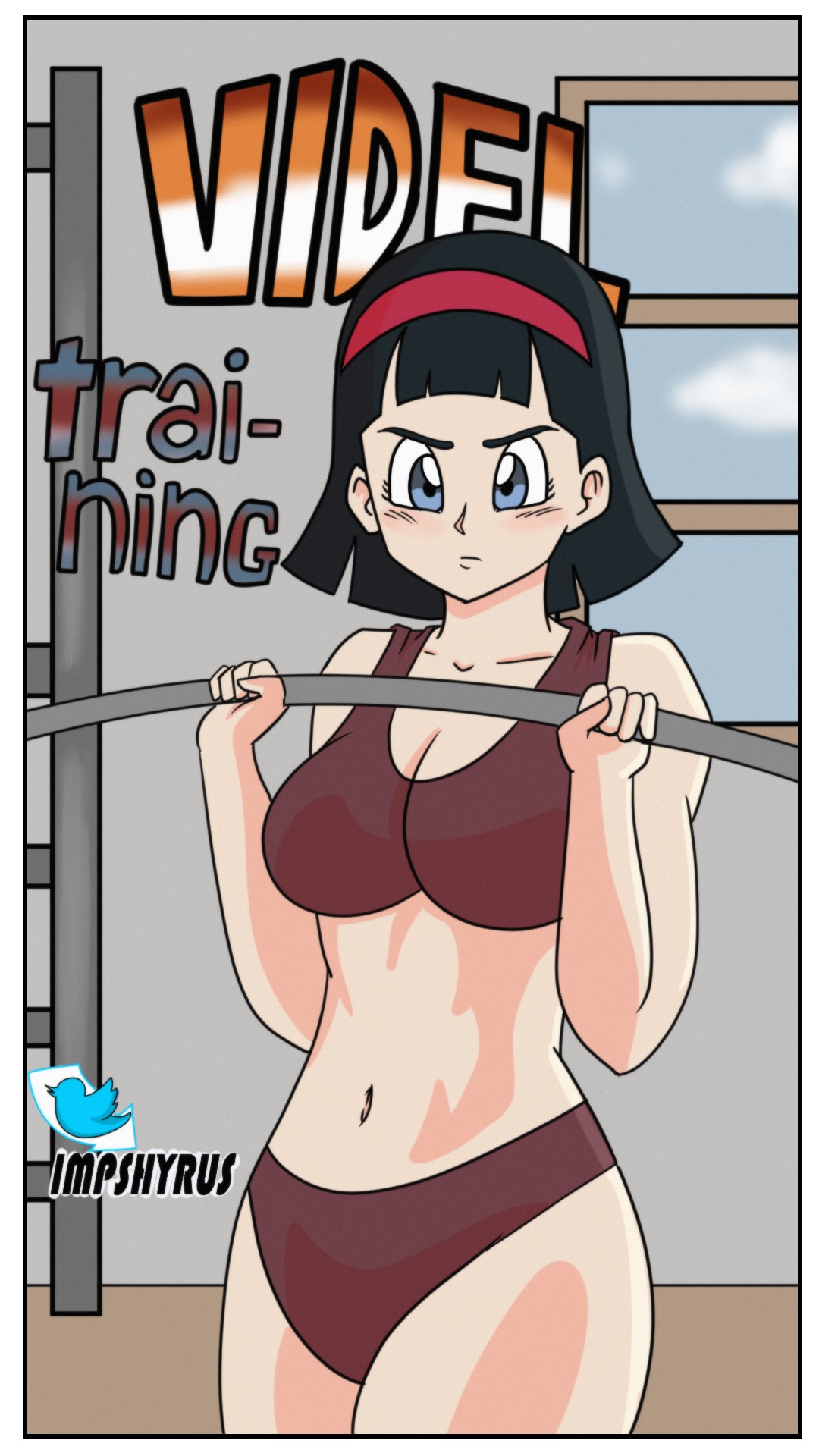 VIDEL Training