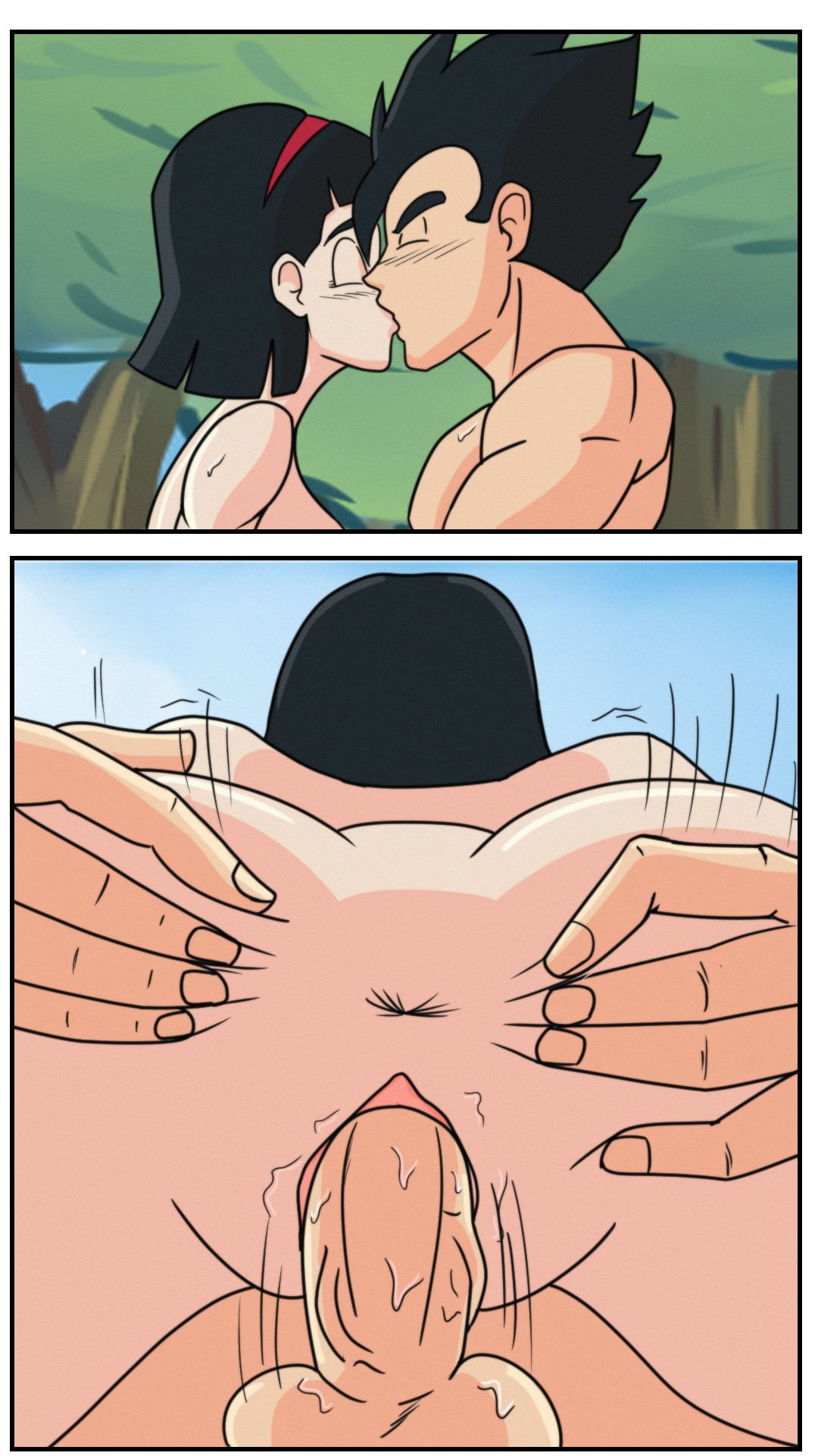 VIDEL Training