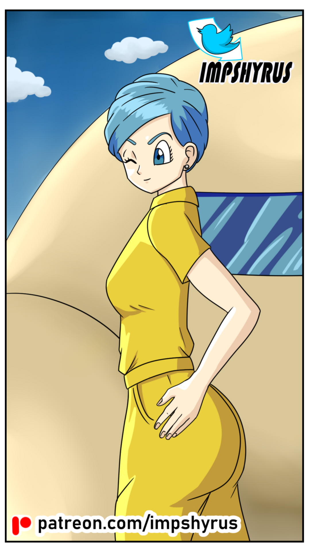 VIDEL Training