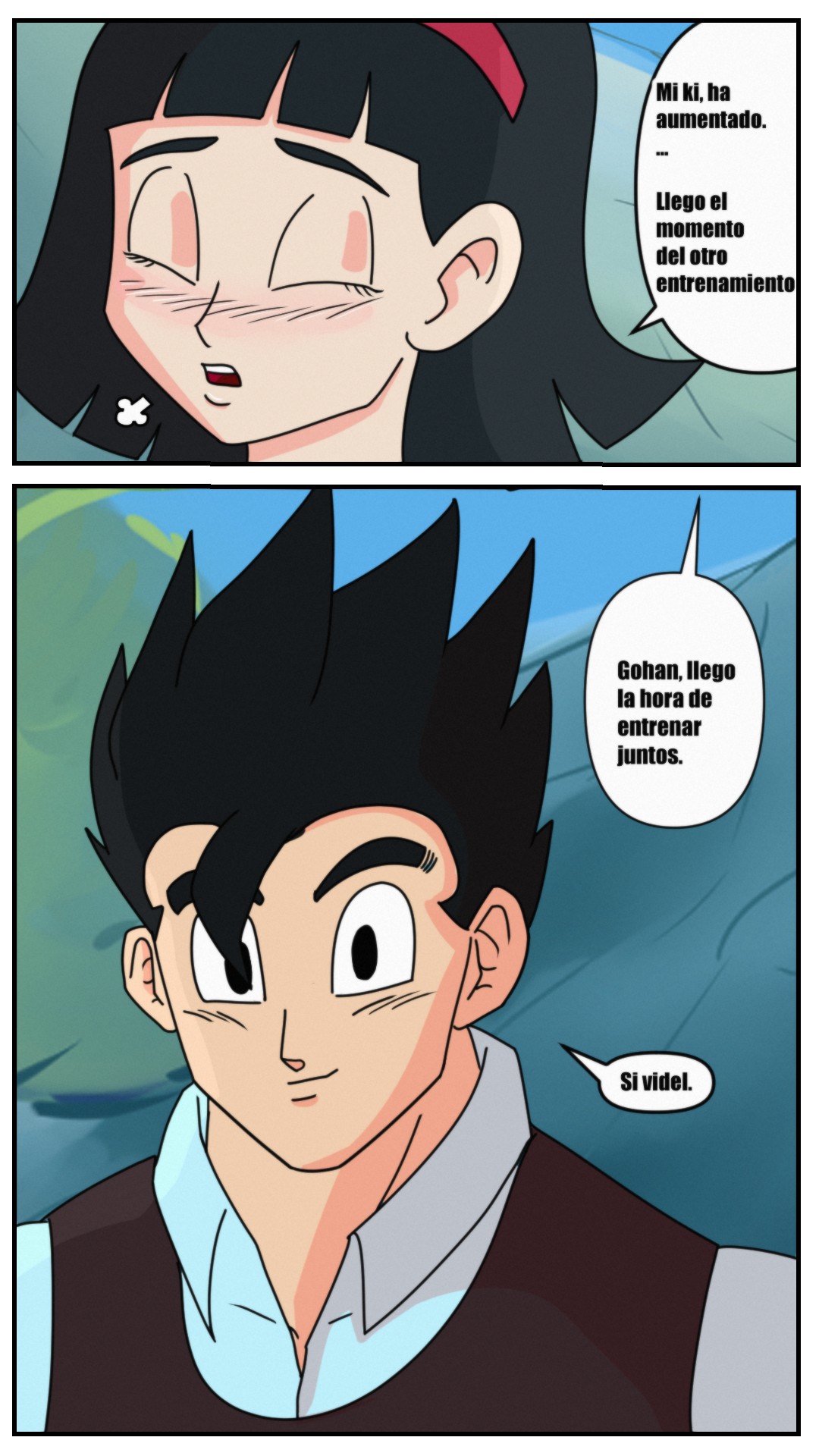 VIDEL Training