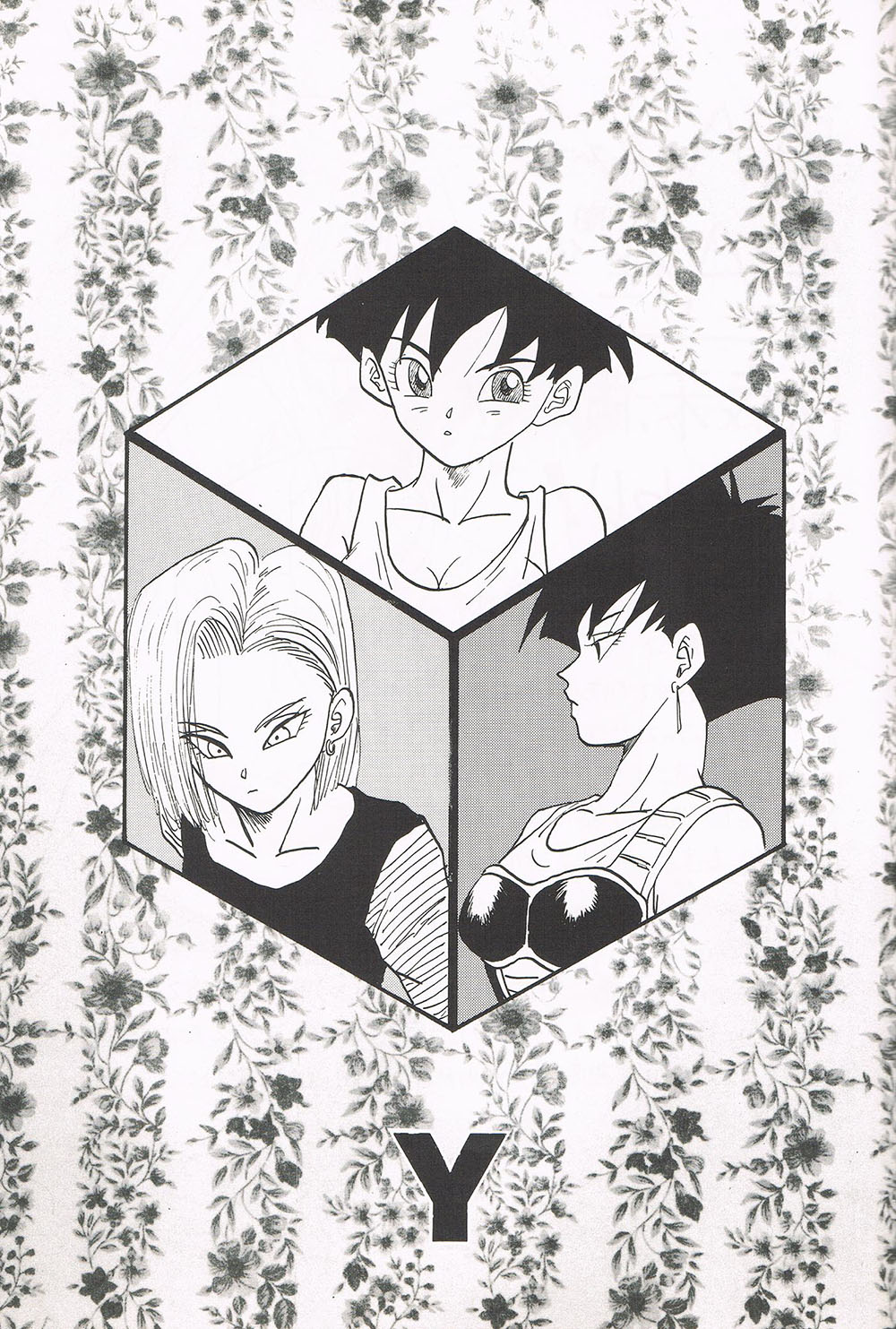 Y DBZ