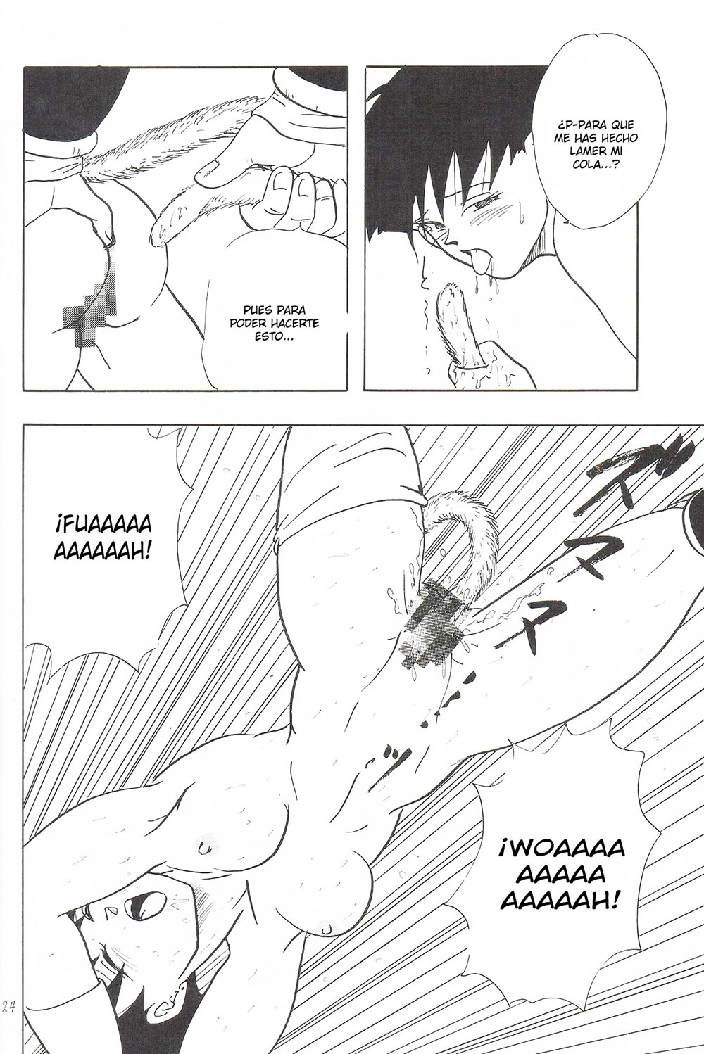Y DBZ
